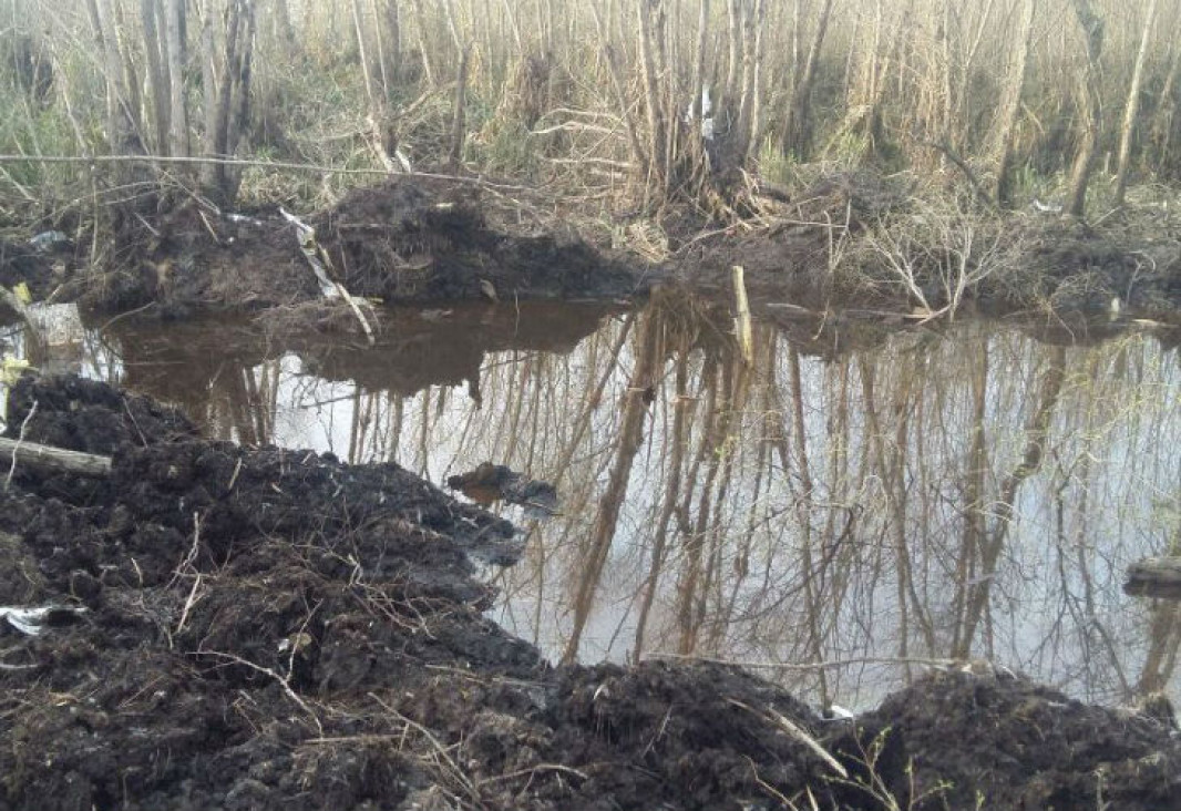 imagen Encontraron el avión desaparecido y restos humanos que ya analizan
