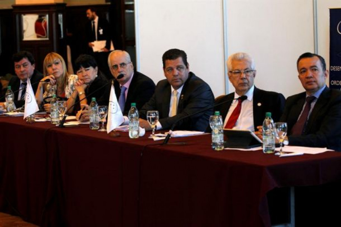 imagen Se aprobó un protocolo regional contra el dengue
