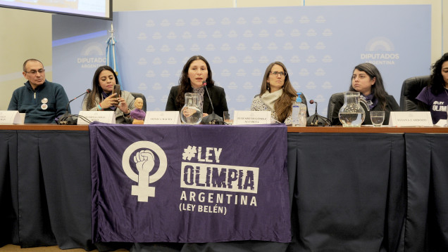 imagen Presentaron dos proyectos para que la violencia digital se considere delito
