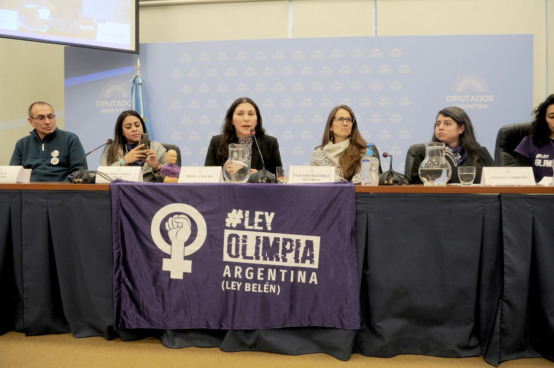 imagen Presentaron dos proyectos para que la violencia digital se considere delito
