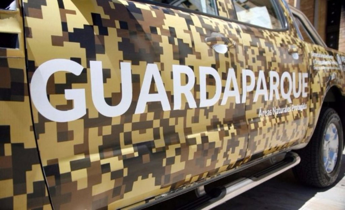 imagen Concurso para guardaparques: 180 postulantes para 13 cargos