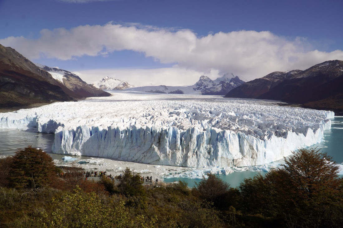 imagen Ley ómnibus: organizaciones y especialistas cuestionaron los cambios propuestos en materia ambiental