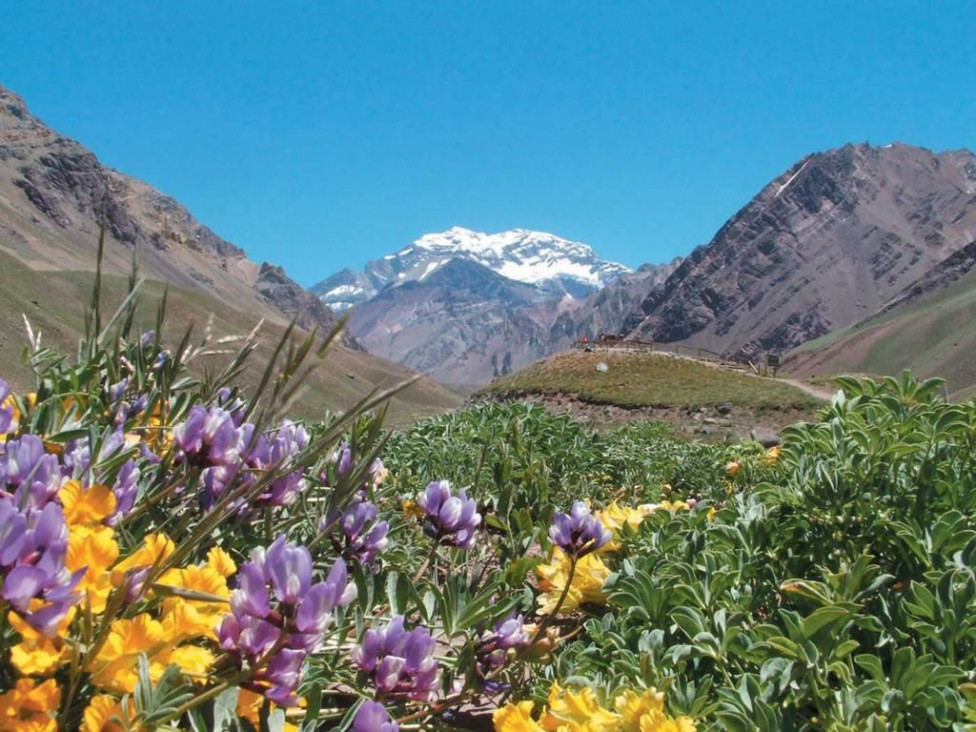 imagen Mendoza, el segundo destino más popular en Argentina
