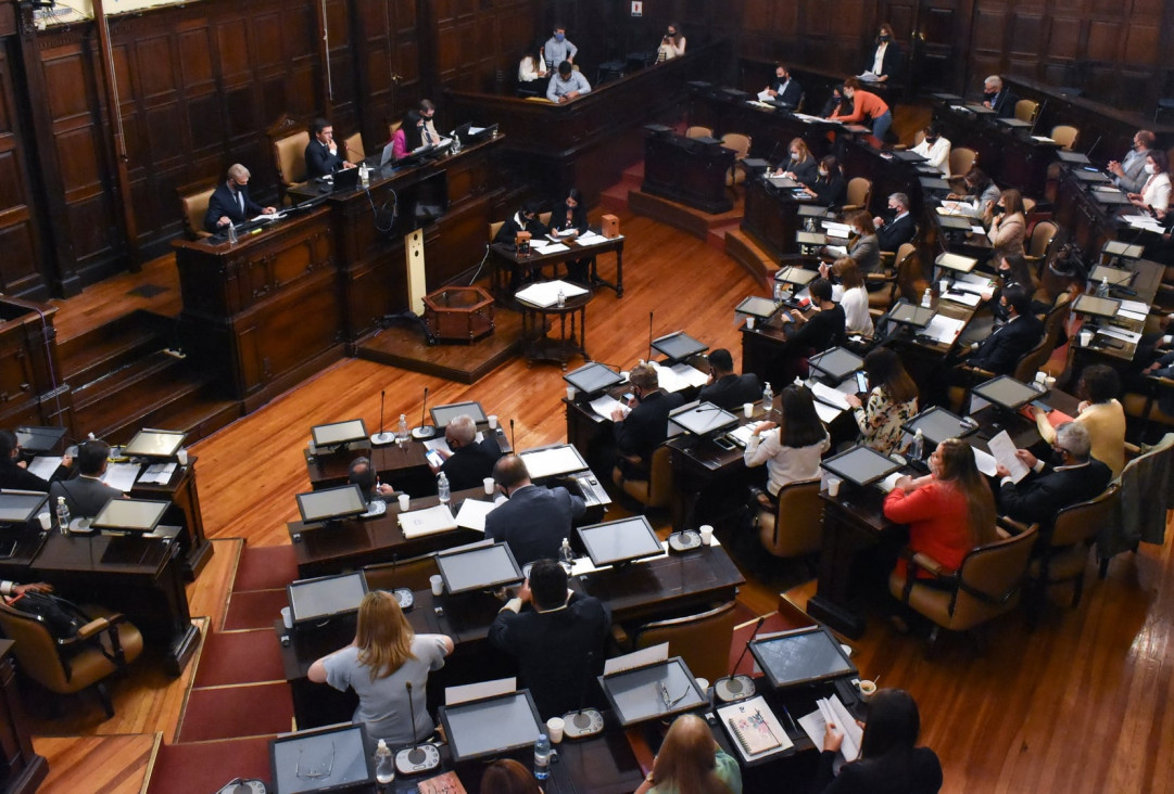 imagen Se reactivó la Comisión de Género en Diputados: cuál es la agenda