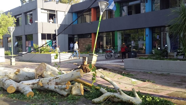 imagen Dos muertos y daños por el temporal de lluvia y granizo: Lavalle, la zona más afectada