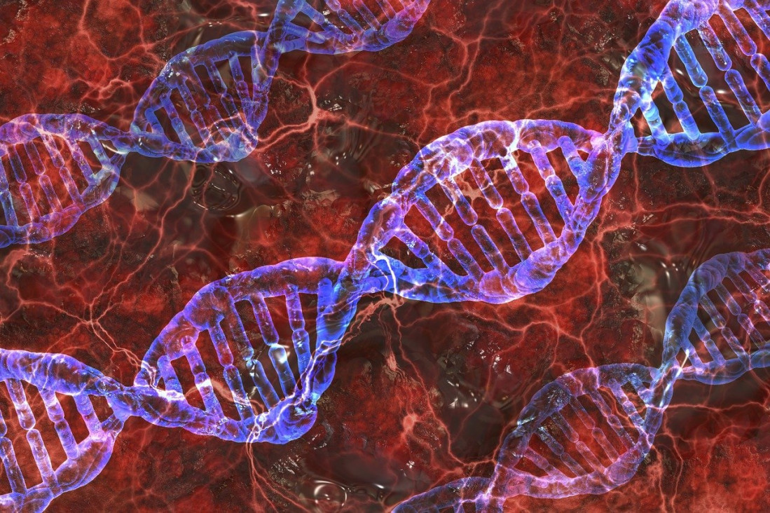 imagen Un estudio describe las alteraciones del ADN que impulsan el cáncer en las células