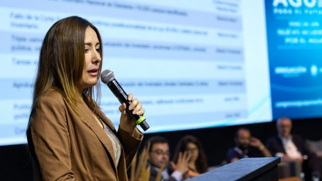 imagen Ley de Glaciares: "Esta reforma no contribuye a la seguridad jurídica que requieren los inversores"