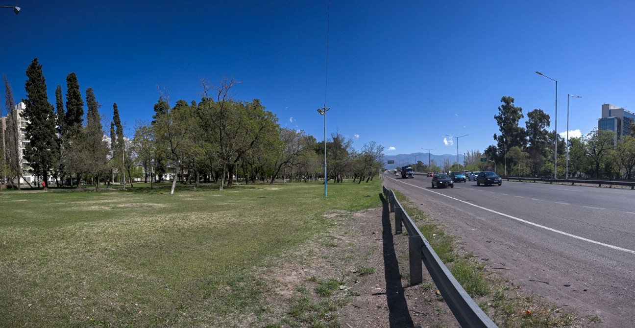 imagen Más árboles, menos ruido: el arbolado reduce hasta 17 decibeles la contaminación sonora en Mendoza