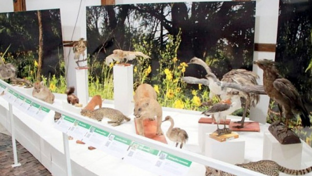 imagen  General Alvear tiene su propio museo de Ciencias Naturales