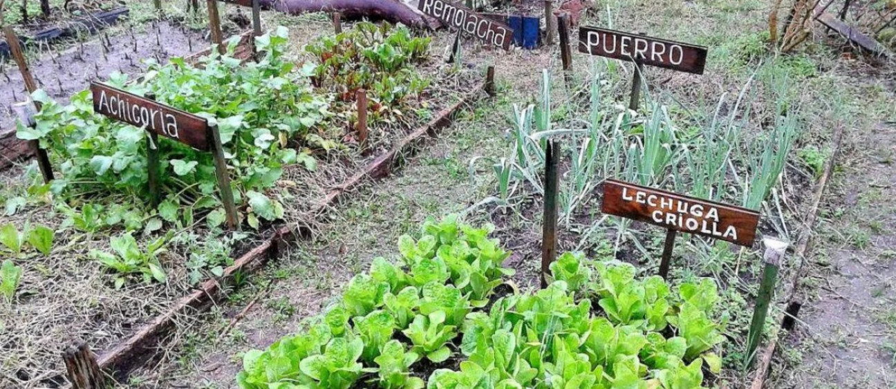 imagen Huertas urbanas: una tendencia en alza que apunta al ahorro y al consumo consciente