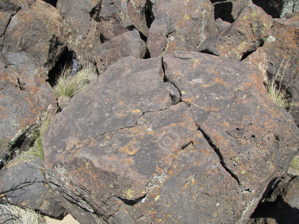 imagen Los secretos del arte rupestre en el extremo sur de Mendoza 