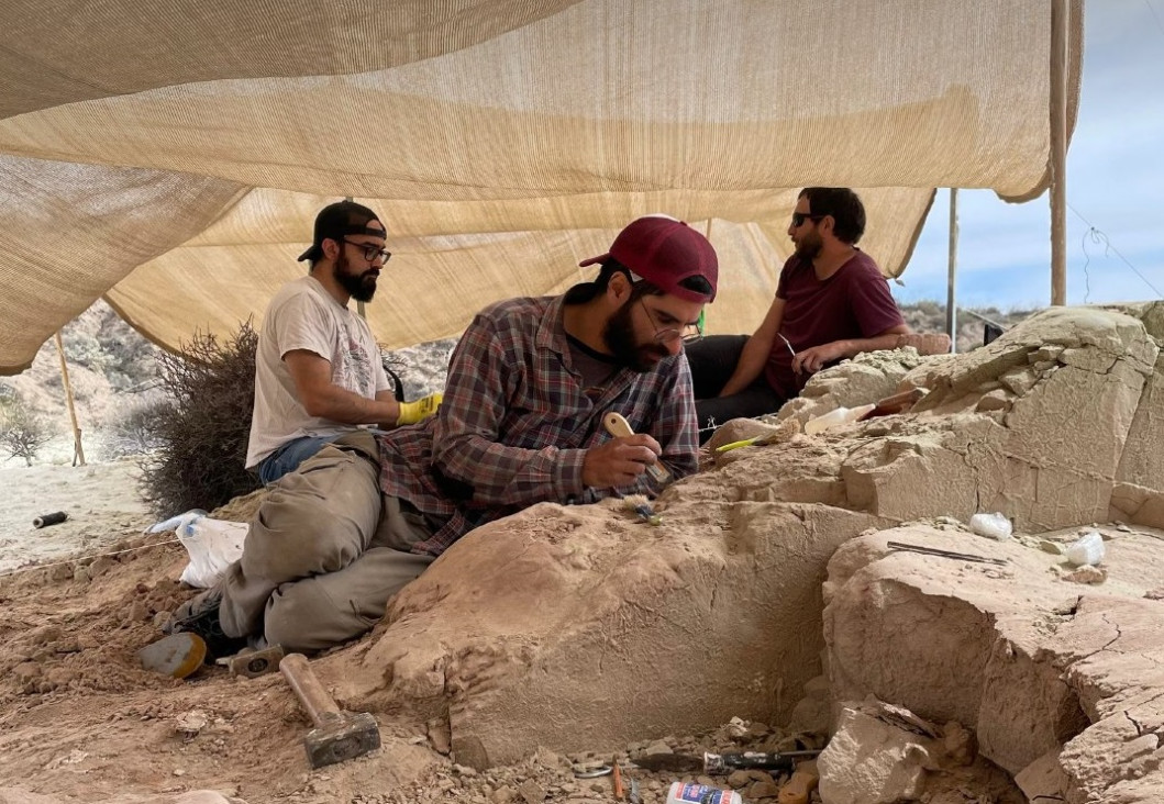 imagen La ciencia y el Conicet vuelven a copar el streaming con "Expedición Cretácica"