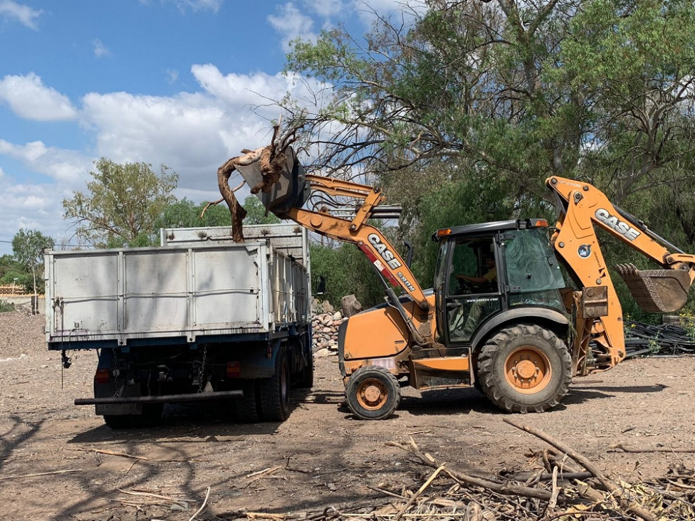 imagen El Ecoparque destina su primera carga de poda a generar biomasa