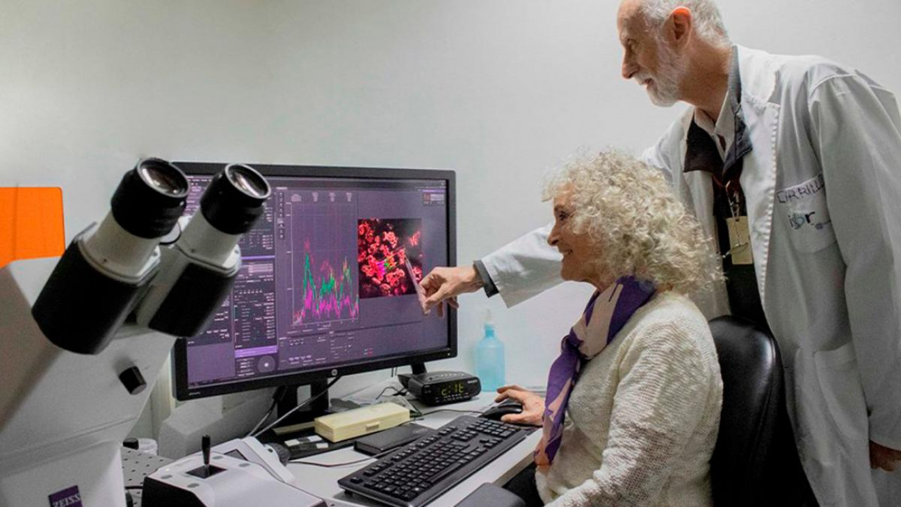 imagen "Nernst": un biosensor que determina la energía en bacterias, plantas y animales