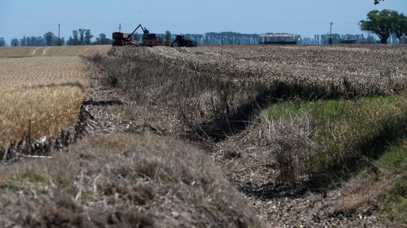 imagen La Niña podría regresar en la segunda mitad del año