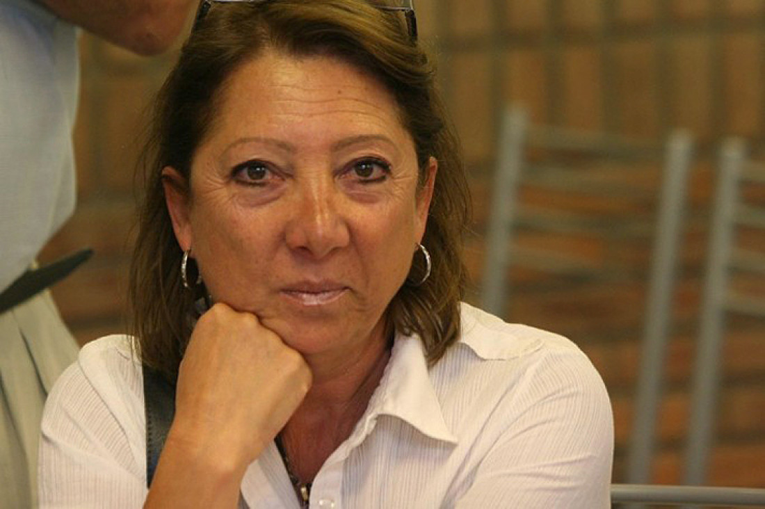 imagen  "Lo que buscan es no tratar el proyecto"