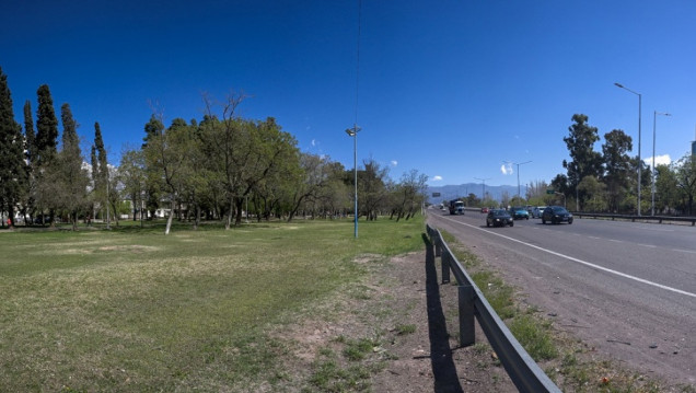 imagen El arbolado público reduce hasta 17 decibeles la contaminación sonora en Mendoza