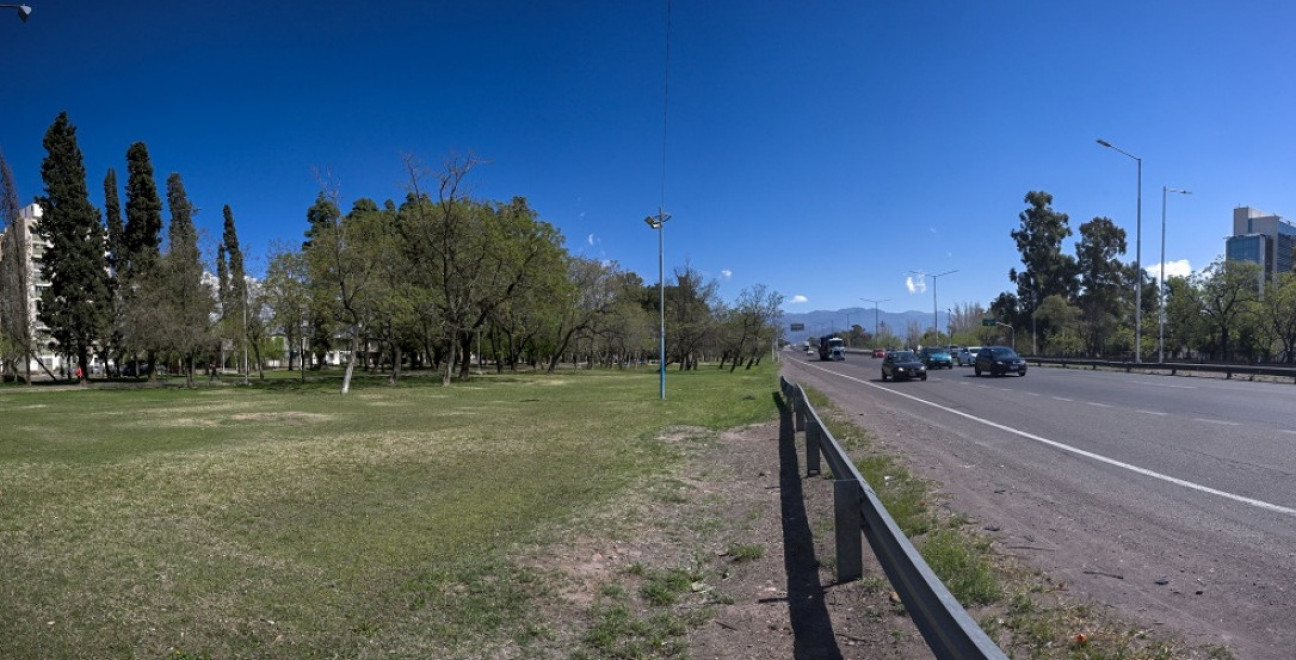imagen El arbolado público reduce hasta 17 decibeles la contaminación sonora en Mendoza