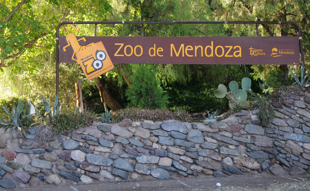 imagen Dos proyectos para intentar cambiar el zoo