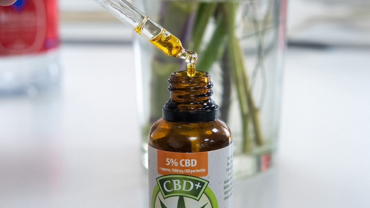 imagen Cannabis terapéutico: ¿qué estudian los laboratorios en el país?