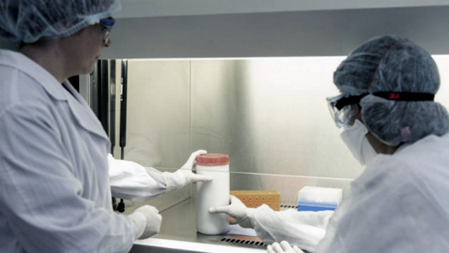 imagen Mendoza registró un nuevo caso positivo de coronavirus