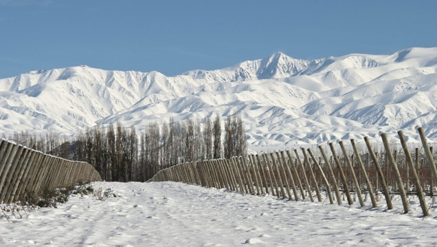 imagen El Niño en Mendoza anticipa intensas nevadas, pero no garantiza un invierno extraordinario 