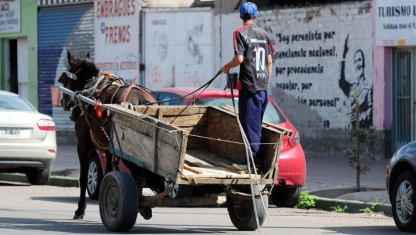 imagen Por qué en Mendoza no avanzan los proyectos para prohibir la tracción a sangre