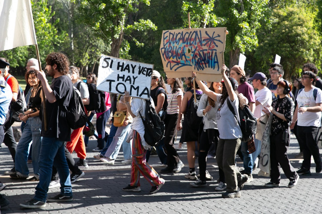imagen El recorte presupuestario impulsó la participación de estudiantes autoconvocados