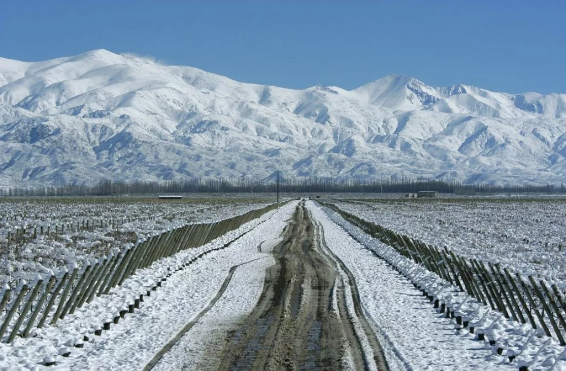 imagen El Niño anticipa más nevadas para Mendoza, pero no asegura un invierno histórico