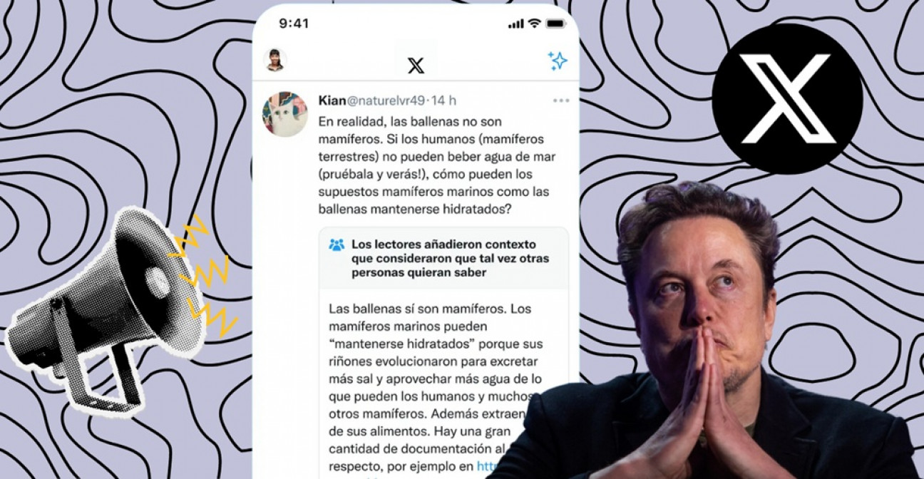 imagen Notas de la Comunidad en X: los verificadores independientes son claves en la lucha contra la desinformación