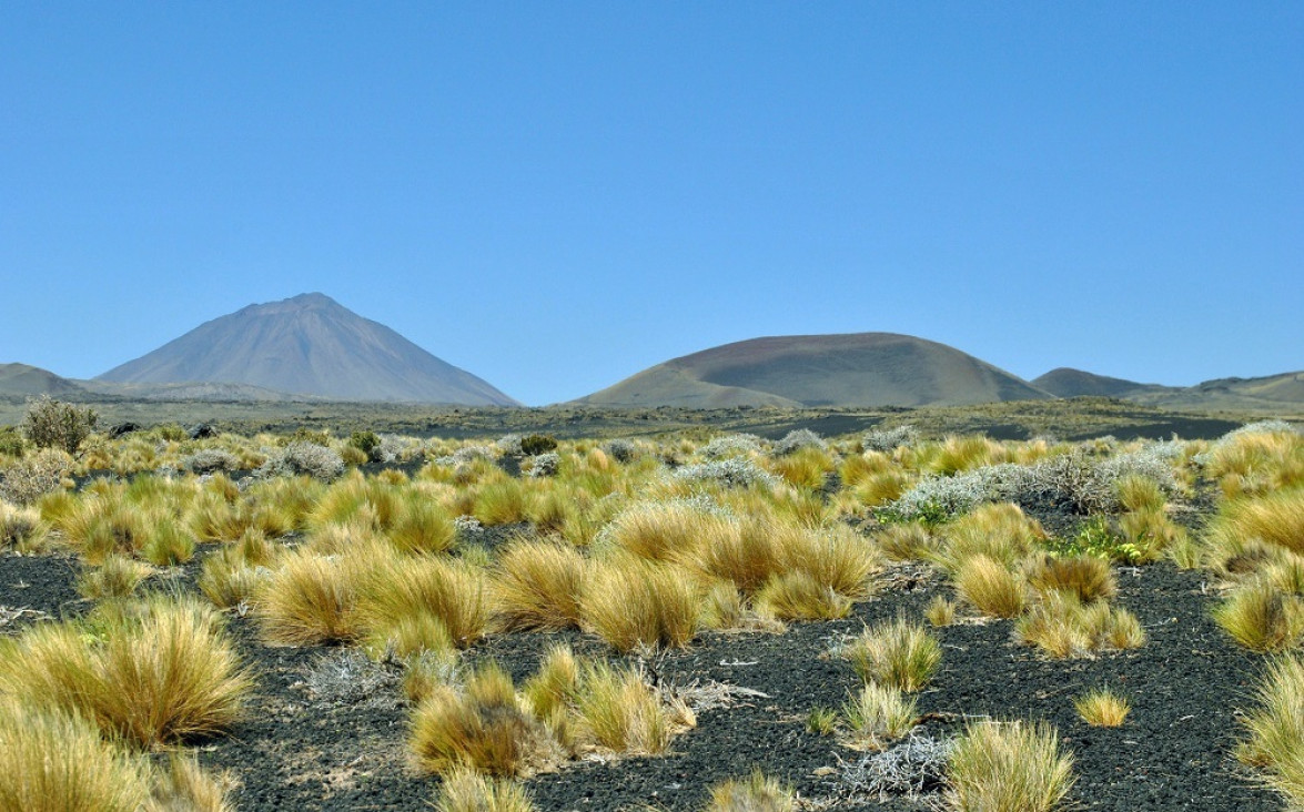 imagen Casi el 10% de la tierra rural de Mendoza está en manos extranjeras 