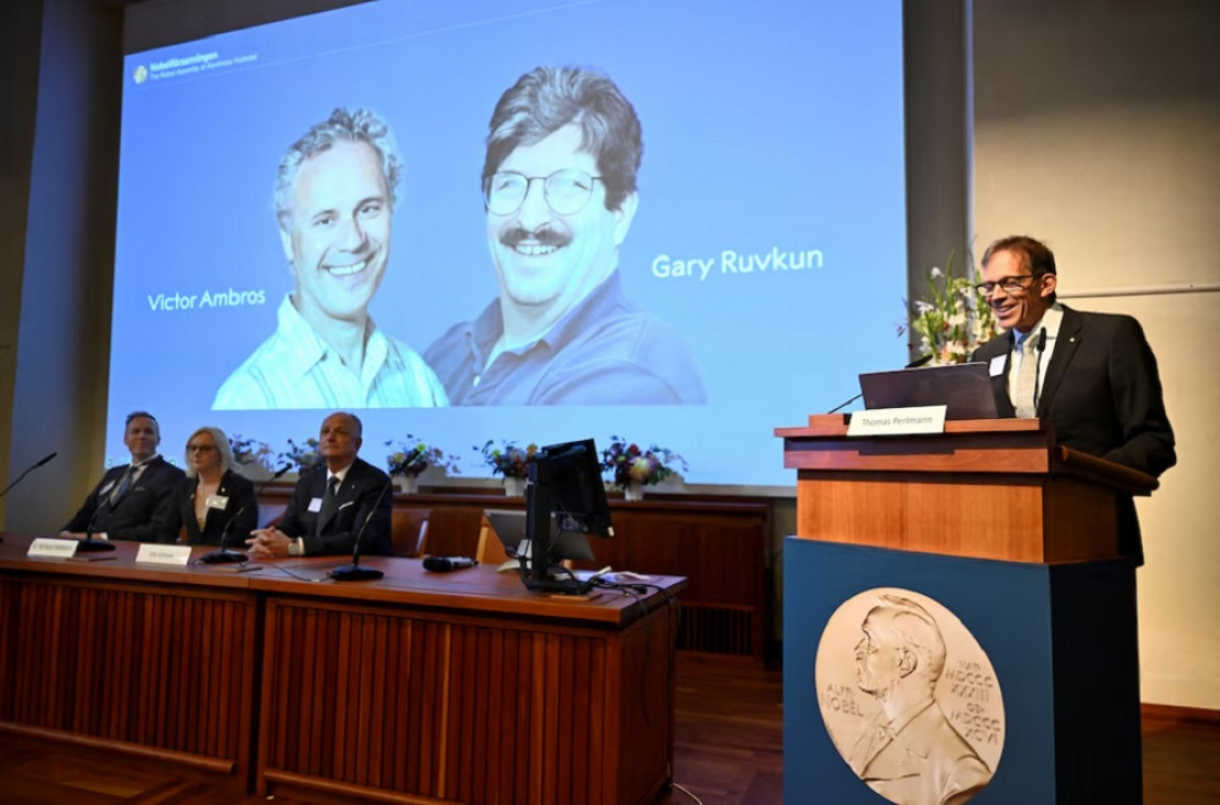 imagen Qué es el microARN, el descubrimiento de los nuevos ganadores del Premio Nobel de Medicina