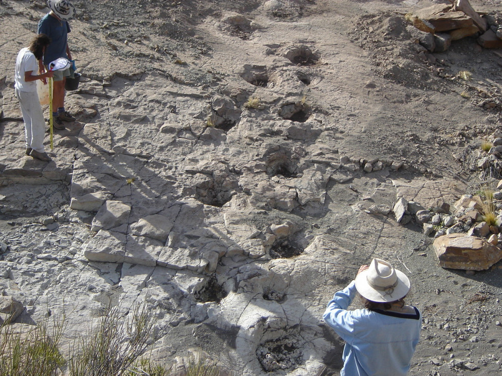 imagen "Huellas de dinosaurios": avanza un nuevo y único museo a cielo abierto en Malargüe