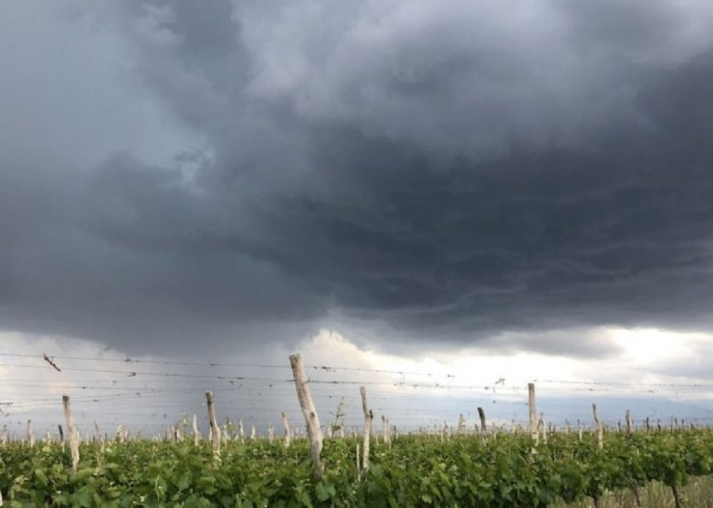 imagen El Gobierno de Mendoza declaró el estado de emergencia y desastre agropecuario