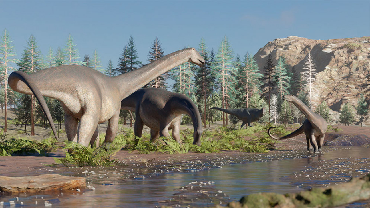 imagen Descubren uno de los últimos dinosaurios de cuello largo y pico de pato en Neuquén