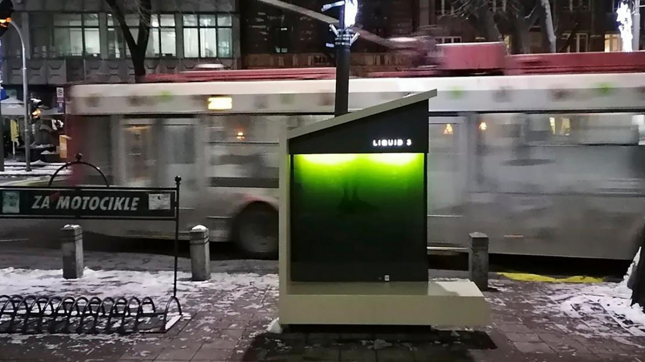 imagen Qué son los "árboles líquidos" y cómo pueden ayudar a reducir la contaminación 