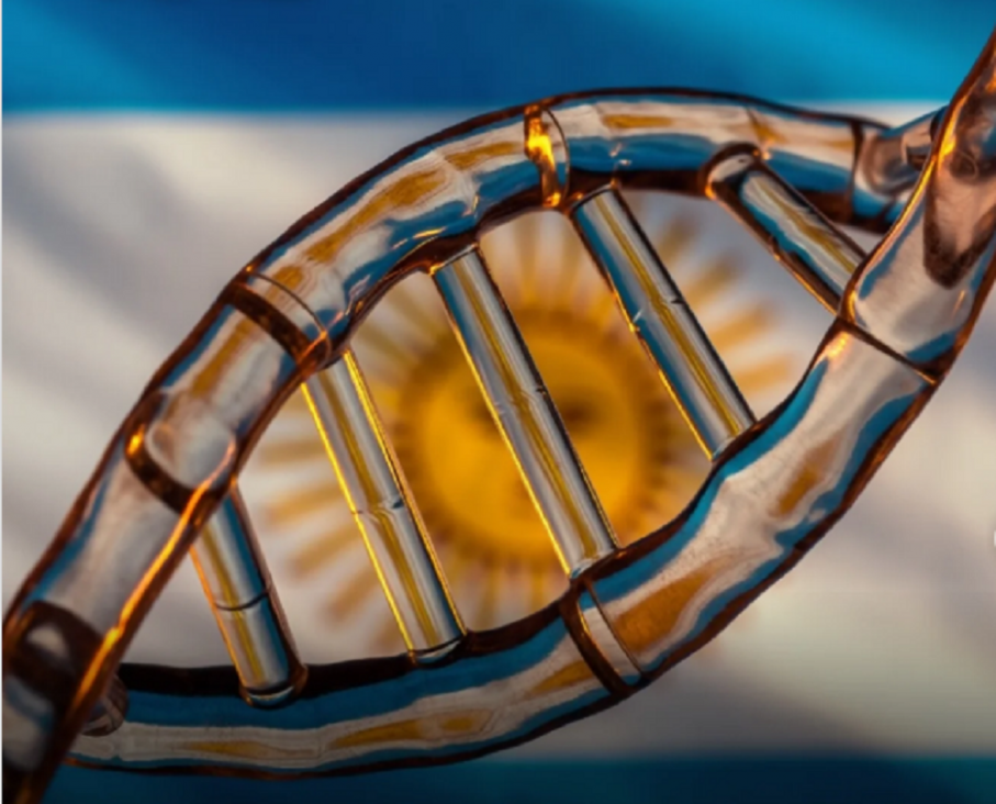 imagen Identificaron un linaje genético propio de Argentina que sigue presente tras más de ocho mil años