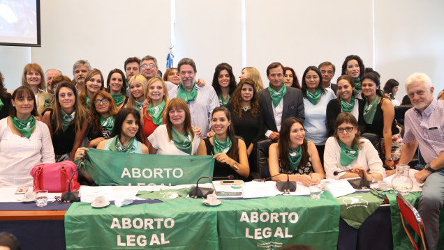 imagen Aborto legal: las claves del proyecto