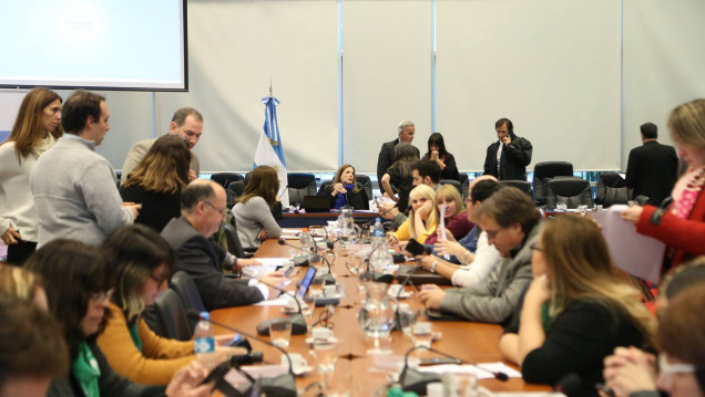 imagen Aborto legal: la votación en la Cámara de Diputados será el 13 de junio