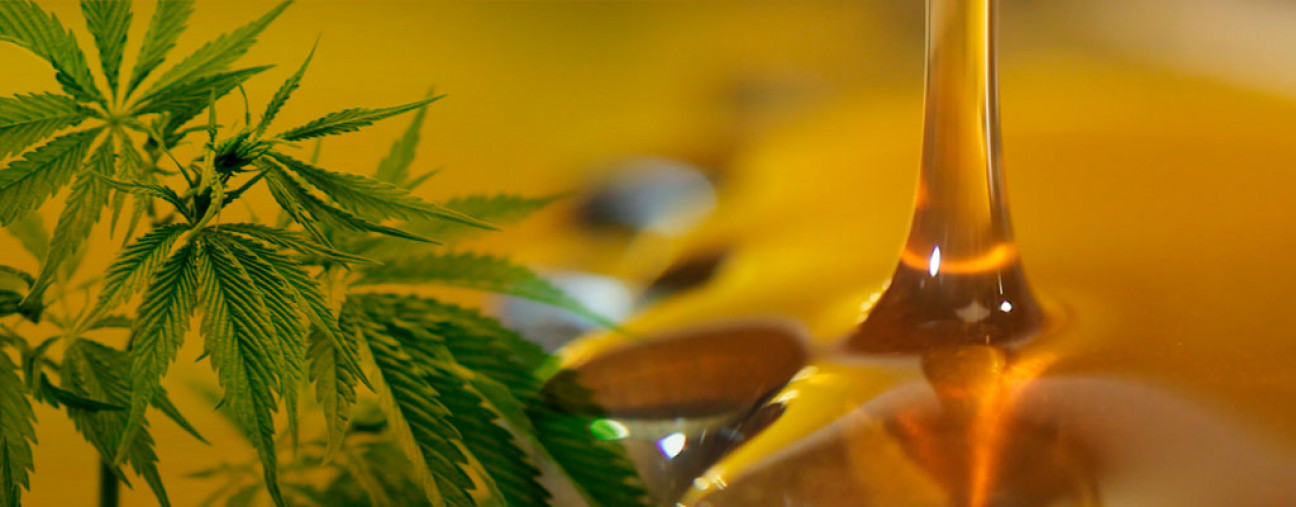 imagen Mendoza ya tiene ley que regula el uso del cannabis medicinal