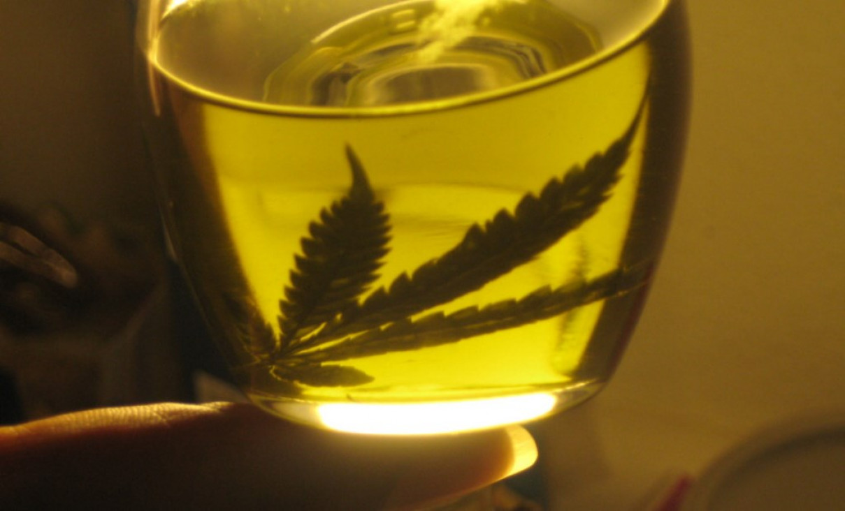 imagen Cannabis medicinal: se abre el debate en Mendoza