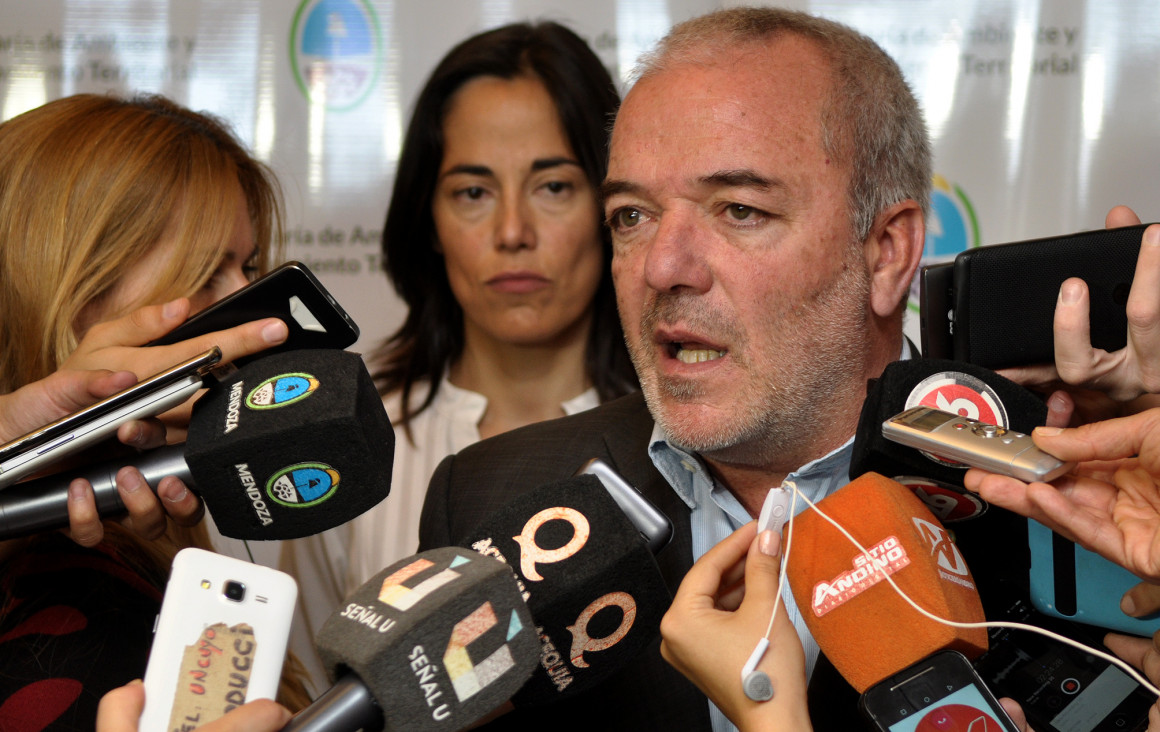 imagen Ambiente confirmó el traslado de la mona Cecilia a Brasil