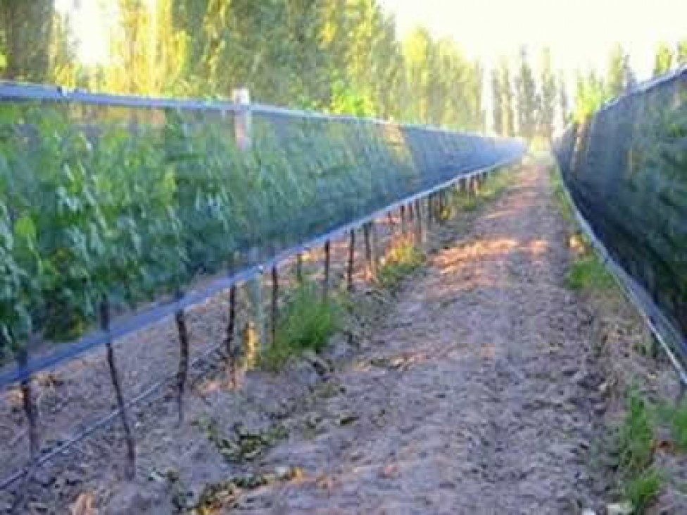 imagen El Gobierno firma convenios para fortalecer la Agricultura Familiar y asiste a los municipios afectados por el granizo