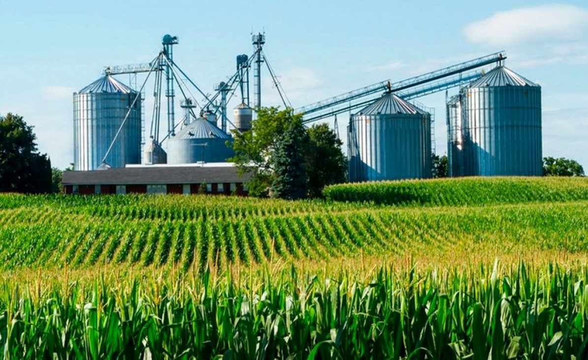 imagen ¿Puede la agroindustria argentina responder al desafío energético mediante biocombustibles?