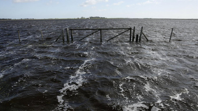 imagen Suben a 10 millones las hectáreas afectadas por las inundaciones
