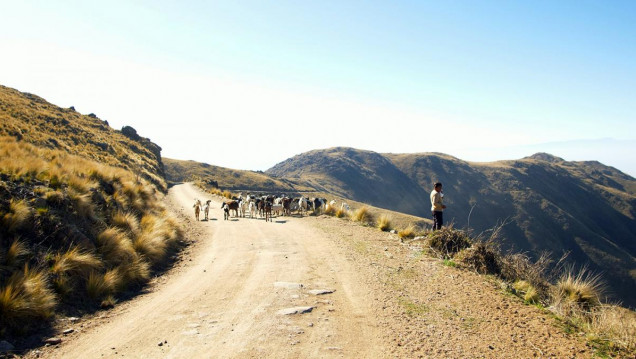 imagen "Sin agua no hay membrillo", el documental que denuncia la megaminería en Catamarca
