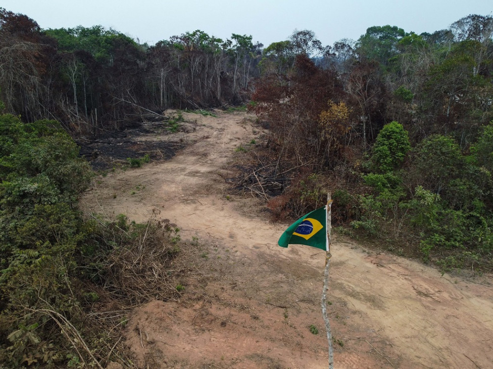 imagen El futuro de la Amazonia se juega en las elecciones de Brasil
