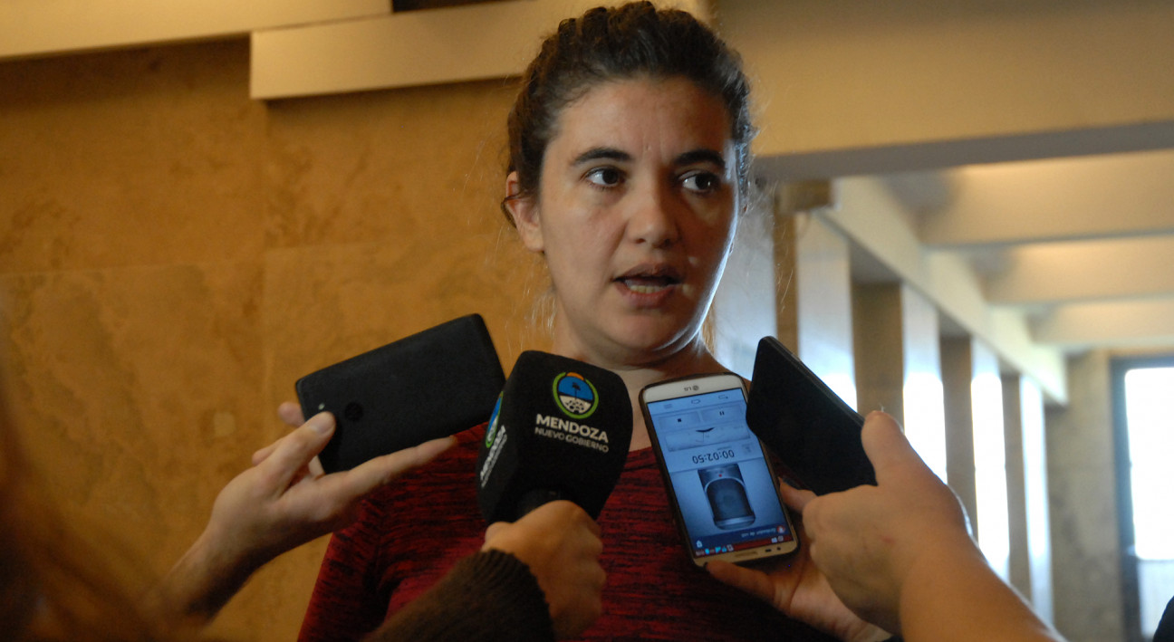 imagen Anfuso desestimó su renuncia