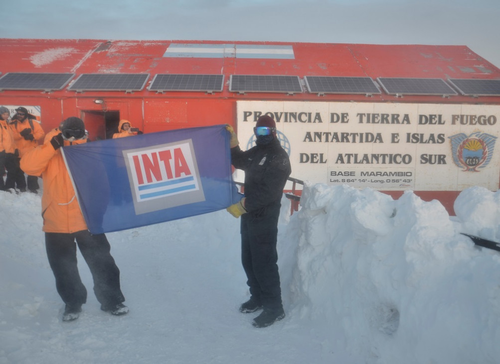 imagen Argentina ya cultiva verduras en la Base Marambio con técnica hidropónica