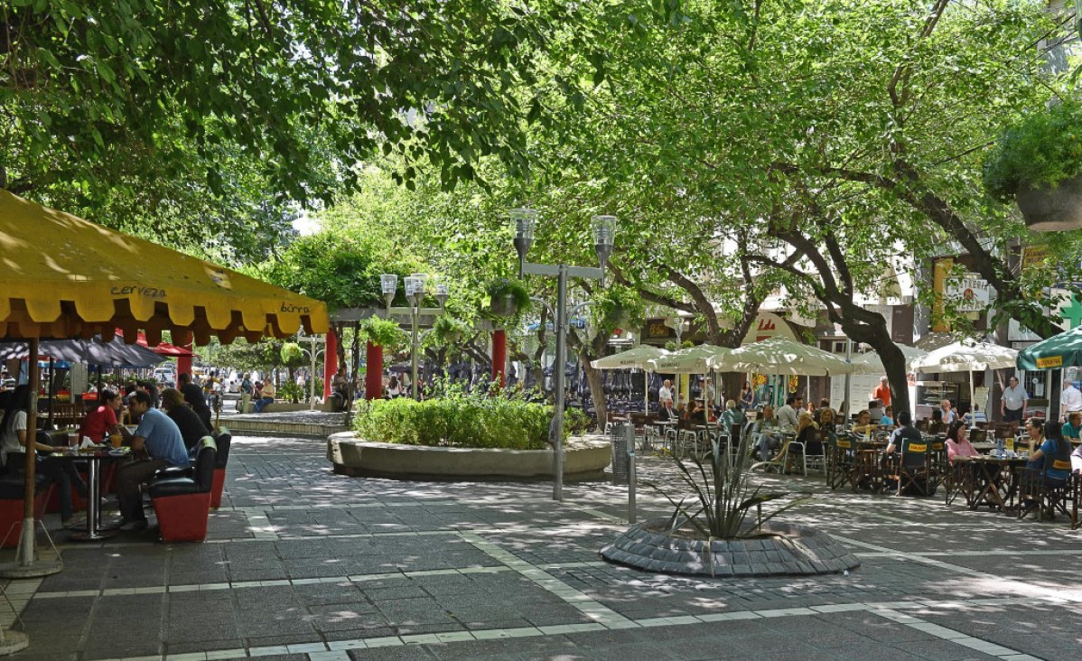 imagen Un solo árbol proporciona lo mismo que dos aires acondicionados
